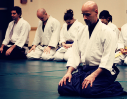Cat Fitzgereald Sensei